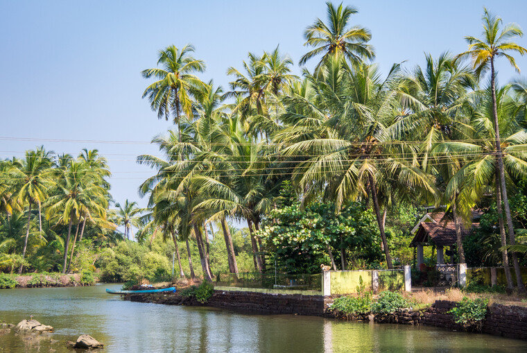 India 2014 - Goa 020.jpg